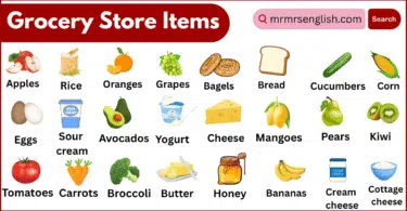 Grocery Store items Names in English with Their Pictures