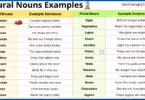 Plural Nouns Examples Sentences in English and Pictures