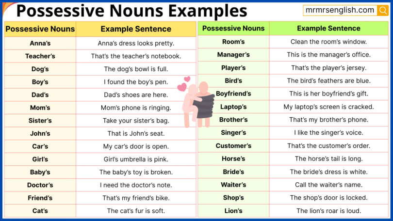 Possessive Nouns Examples Sentences in English and Pictures