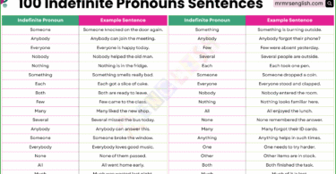 100 Indefinite Pronouns in Sentences in English with Pictures