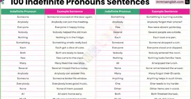 100 Indefinite Pronouns in Sentences in English with Pictures
