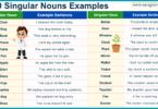 100 Singular Nouns Example Sentences in English with Pictures