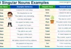 100 Singular Nouns Example Sentences in English with Pictures