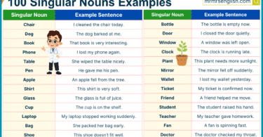 100 Singular Nouns Example Sentences in English with Pictures