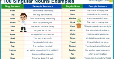 100 Singular Nouns Example Sentences in English with Pictures