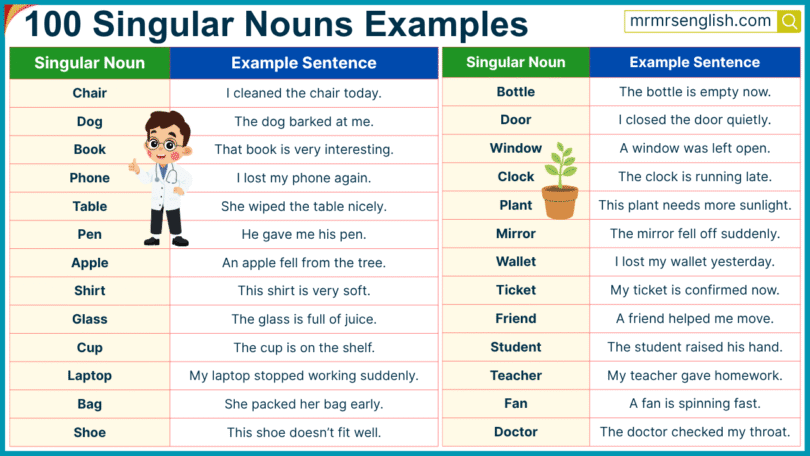 100 Singular Nouns Example Sentences in English with Pictures