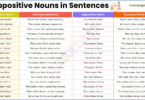 Appositive Nouns Examples Sentences in English with Pictures