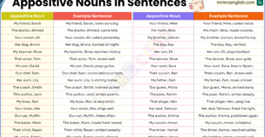 Appositive Nouns Examples Sentences in English with Pictures