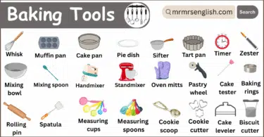 Baking Tools Names in English with Pictures