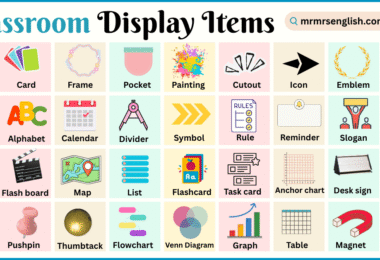 Classroom Display Items Names in English with Pictures