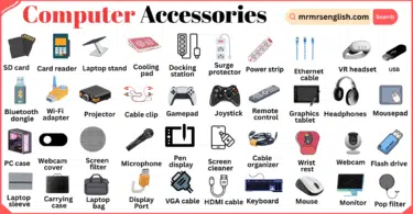Computer Accessories Names in English with their Pictures