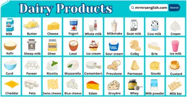 Dairy Products Names in English with Their Pictures