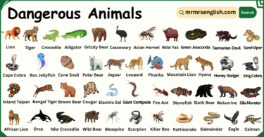 Dangerous Animals Names in English with Their Pictures