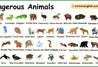 Dangerous Animals Names in English with Their Pictures