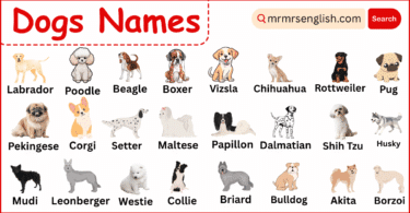 Different Types of Dogs Names in English with their Pictures
