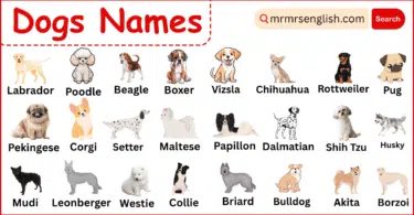 Different Types of Dogs Names in English with their Pictures