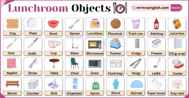 Lunchroom Objects Names in English with Their Pictures
