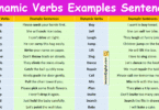 100 Dynamic Verbs Examples Sentences in English with Pictures