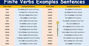100 Finite Verbs Examples Sentences in English with Pictures