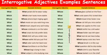 100 Interrogative Adjectives Examples Sentences in English