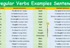 100 Irregular Verbs Examples Sentences in English with Pictures