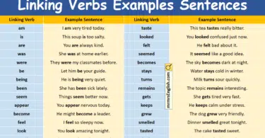 100 Linking Verbs Examples Sentences in English with Pictures