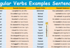 100 Regular Verbs Examples Sentences in English with Pictures