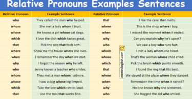 100 Relative Pronouns Examples Sentences in English with Pictures