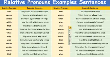 100 Relative Pronouns Examples Sentences in English with Pictures