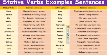 100 Stative Verbs Examples Sentences in English with Pictures