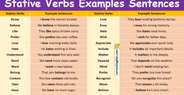 100 Stative Verbs Examples Sentences in English with Pictures