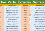 500 Action Verbs Examples Sentences in English with Pictures