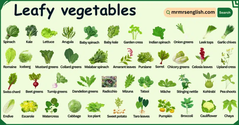 80 Leafy Vegetables Names in English with their Pictures