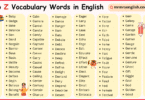 A To Z Vocabulary Words in English with Their Pictures