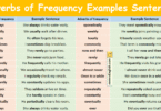 Adverbs of Frequency Examples Sentences in English with Pictures