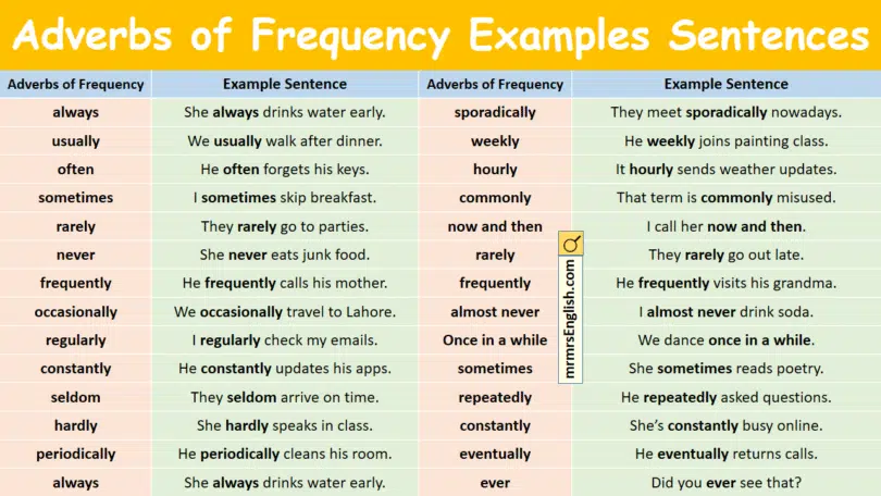 Adverbs of Frequency Examples Sentences in English with Pictures
