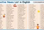 Appositive Nouns List in English with Their Pictures