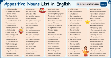 Appositive Nouns List in English with Their Pictures