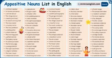Appositive Nouns List in English with Their Pictures