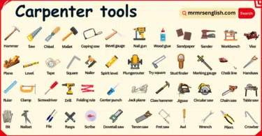 Carpenter Tools Names in English with their Pictures