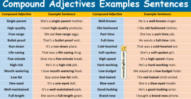 Compound Adjectives Examples Sentences in English with Pictures