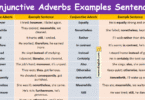 Conjunctive Adverbs Examples Sentences in English with Pictures