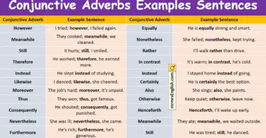 Conjunctive Adverbs Examples Sentences in English with Pictures