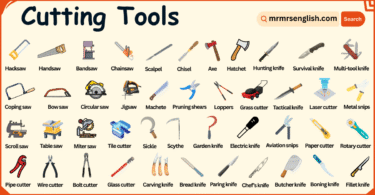 Cutting Tools Names in English with their Pictures