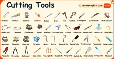 Cutting Tools Names in English with their Pictures