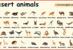 Desert Animals Names in English with their Pictures