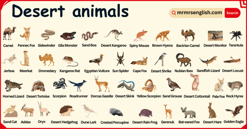 Desert Animals Names in English with their Pictures