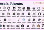 Different Types of Wheels Names in English with their Pictures