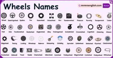 Different Types of Wheels Names in English with their Pictures