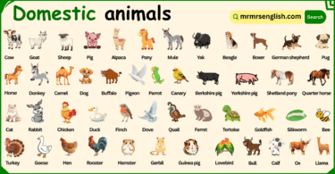 Domestic Animals Names in English with Their Pictures